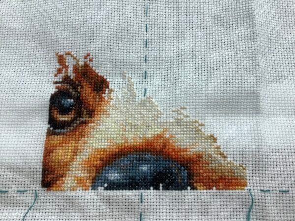 Nieuw project: cocker spaniel